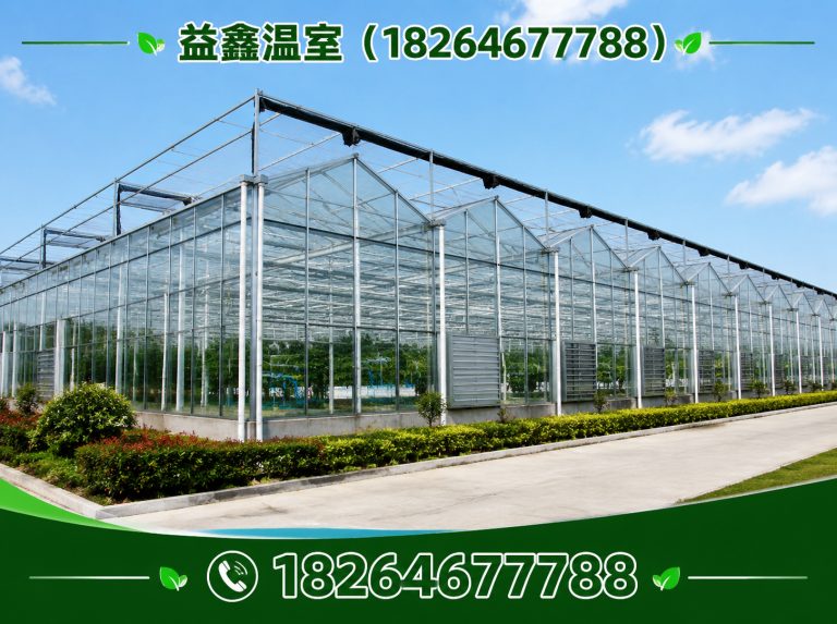 潍坊益鑫温室展示图