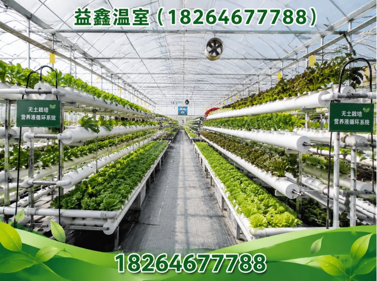 潍坊连栋温室展示图